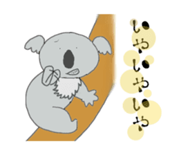 Koala a good listener sticker #1423549