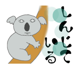Koala a good listener sticker #1423574