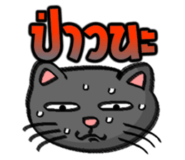 Cat Heads (Thai) sticker #1426917