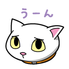 Everyday message cat sticker sticker #1427459
