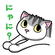 Everyday message cat sticker sticker #1427460