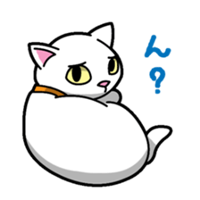 Everyday message cat sticker sticker #1427461