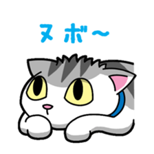 Everyday message cat sticker sticker #1427462