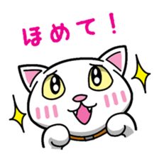Everyday message cat sticker sticker #1427465