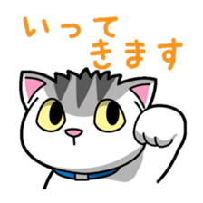 Everyday message cat sticker sticker #1427466
