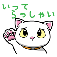 Everyday message cat sticker sticker #1427467