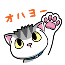 Everyday message cat sticker sticker #1427468