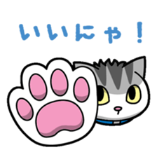 Everyday message cat sticker sticker #1427470