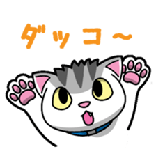 Everyday message cat sticker sticker #1427472