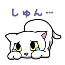 Everyday message cat sticker sticker #1427473