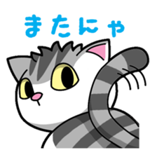 Everyday message cat sticker sticker #1427476