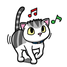 Everyday message cat sticker sticker #1427478