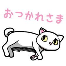 Everyday message cat sticker sticker #1427479