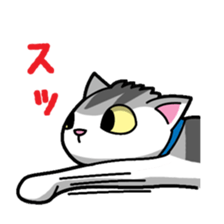 Everyday message cat sticker sticker #1427480