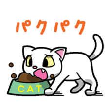 Everyday message cat sticker sticker #1427481