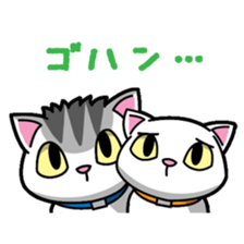 Everyday message cat sticker sticker #1427482