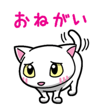 Everyday message cat sticker sticker #1427483