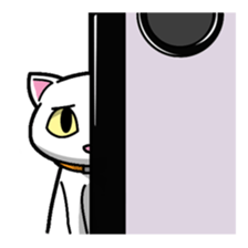 Everyday message cat sticker sticker #1427485