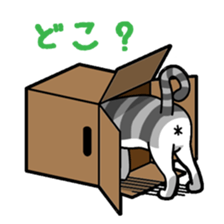 Everyday message cat sticker sticker #1427486