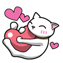 Everyday message cat sticker sticker #1427487