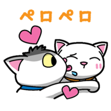 Everyday message cat sticker sticker #1427488