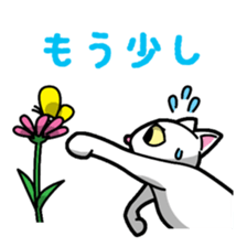 Everyday message cat sticker sticker #1427490