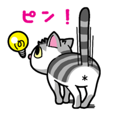 Everyday message cat sticker sticker #1427491