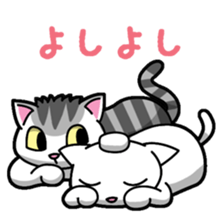 Everyday message cat sticker sticker #1427495