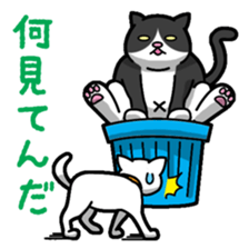 Everyday message cat sticker sticker #1427497