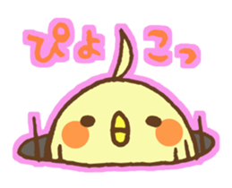 Is a Cuckatiels. sticker #1427839