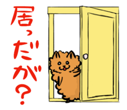 The shaggy dog and white cat. sticker #1428778