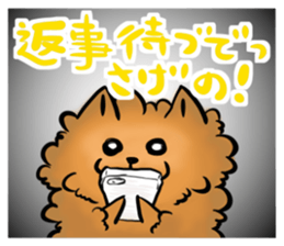 The shaggy dog and white cat. sticker #1428779