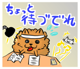 The shaggy dog and white cat. sticker #1428780