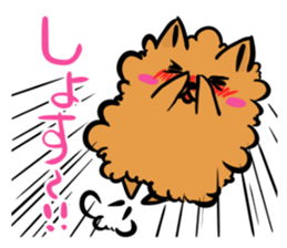 The shaggy dog and white cat. sticker #1428784