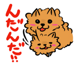 The shaggy dog and white cat. sticker #1428787