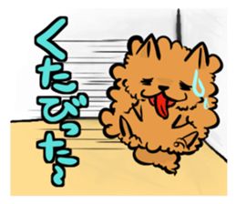 The shaggy dog and white cat. sticker #1428793