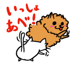 The shaggy dog and white cat. sticker #1428800