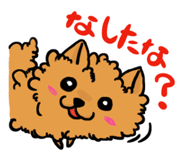 The shaggy dog and white cat. sticker #1428803