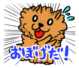 The shaggy dog and white cat. sticker #1428804