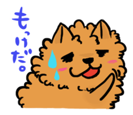 The shaggy dog and white cat. sticker #1428805