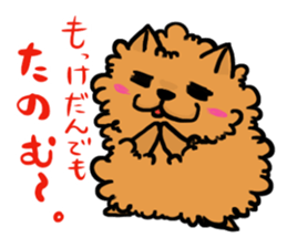 The shaggy dog and white cat. sticker #1428806