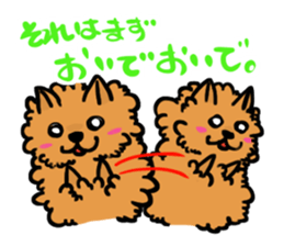 The shaggy dog and white cat. sticker #1428808