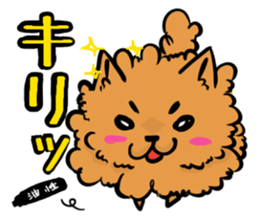 The shaggy dog and white cat. sticker #1428809