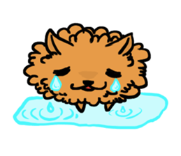 The shaggy dog and white cat. sticker #1428812