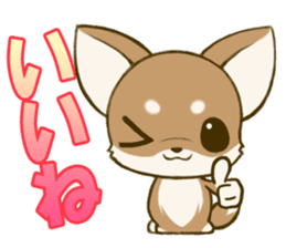 Chihuahuatan2 sticker #1430500