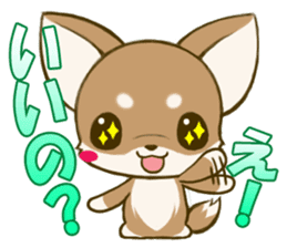 Chihuahuatan2 sticker #1430501