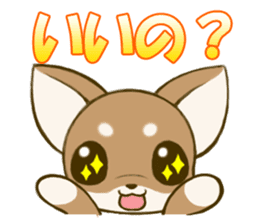 Chihuahuatan2 sticker #1430502