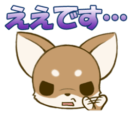 Chihuahuatan2 sticker #1430504