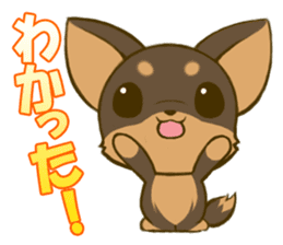 Chihuahuatan2 sticker #1430505