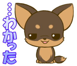 Chihuahuatan2 sticker #1430506